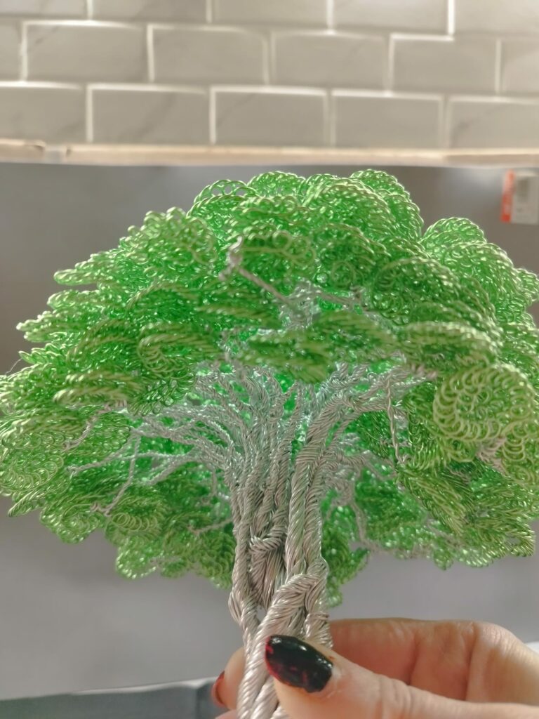 WhatsApp Image 2024-05-29 at 16.09.49 (1)