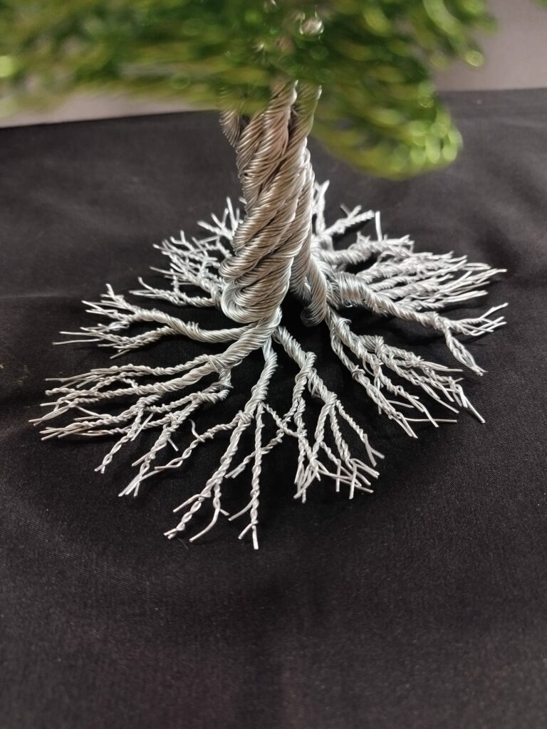 WhatsApp Image 2024-05-29 at 16.09.49 (2)