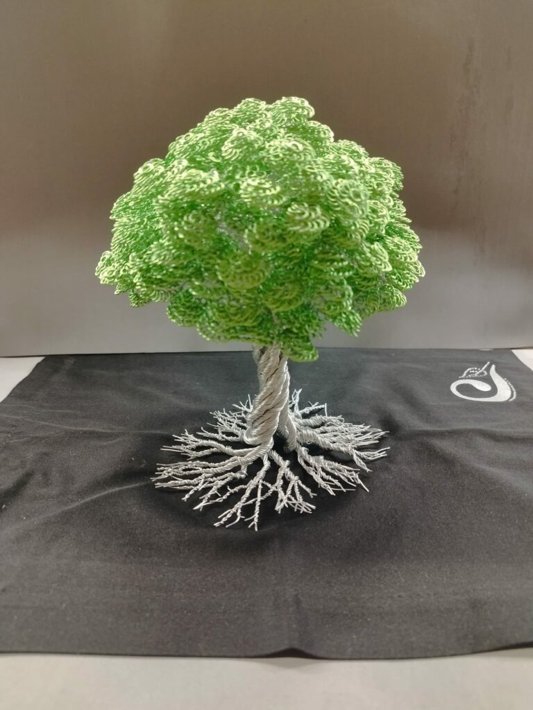 WhatsApp Image 2024-05-29 at 16.09.50 (1)