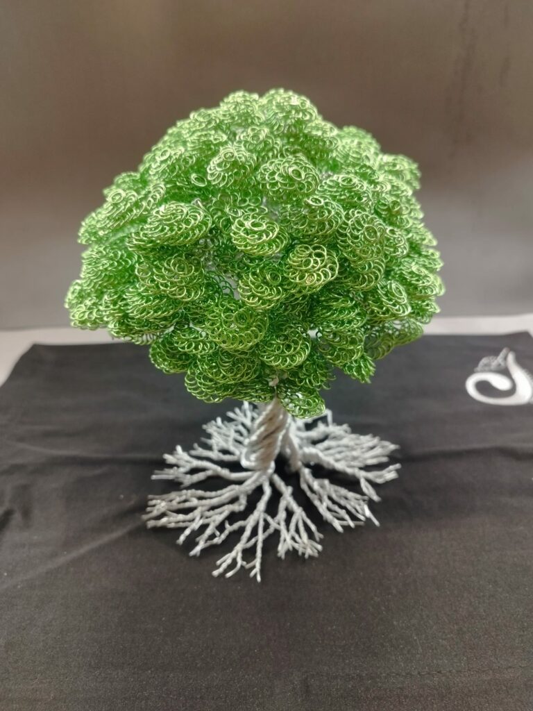 WhatsApp Image 2024-05-29 at 16.09.50