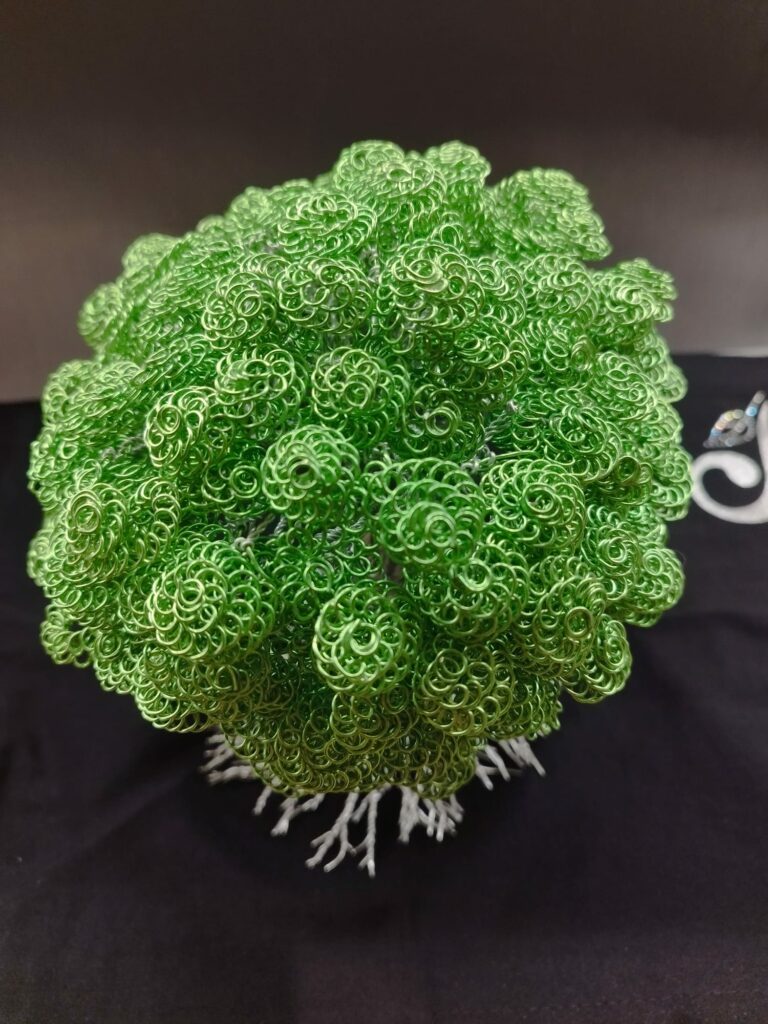 WhatsApp Image 2024-05-29 at 16.09.51