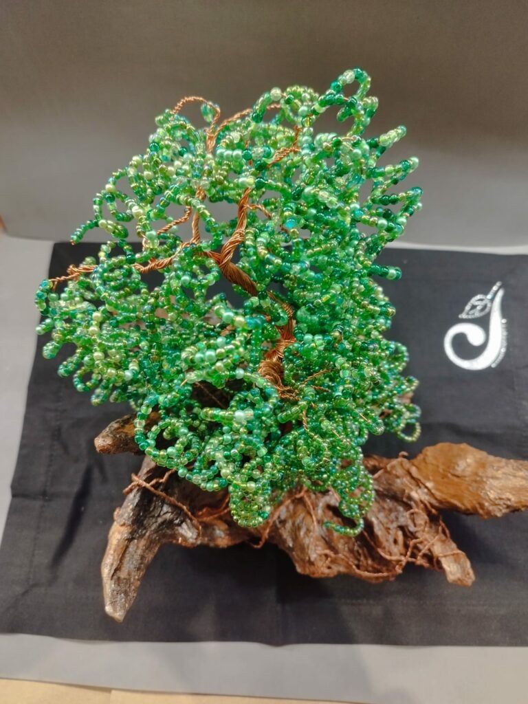 WhatsApp Image 2024-05-29 at 16.13.11 (1)