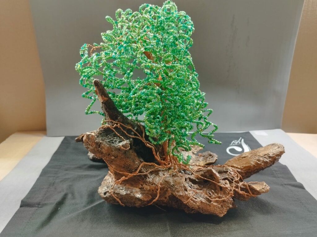 WhatsApp Image 2024-05-29 at 16.13.11