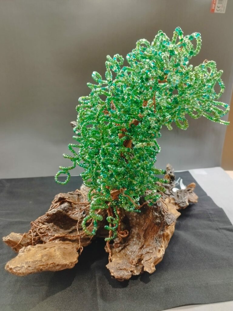 WhatsApp Image 2024-05-29 at 16.13.12 (1)