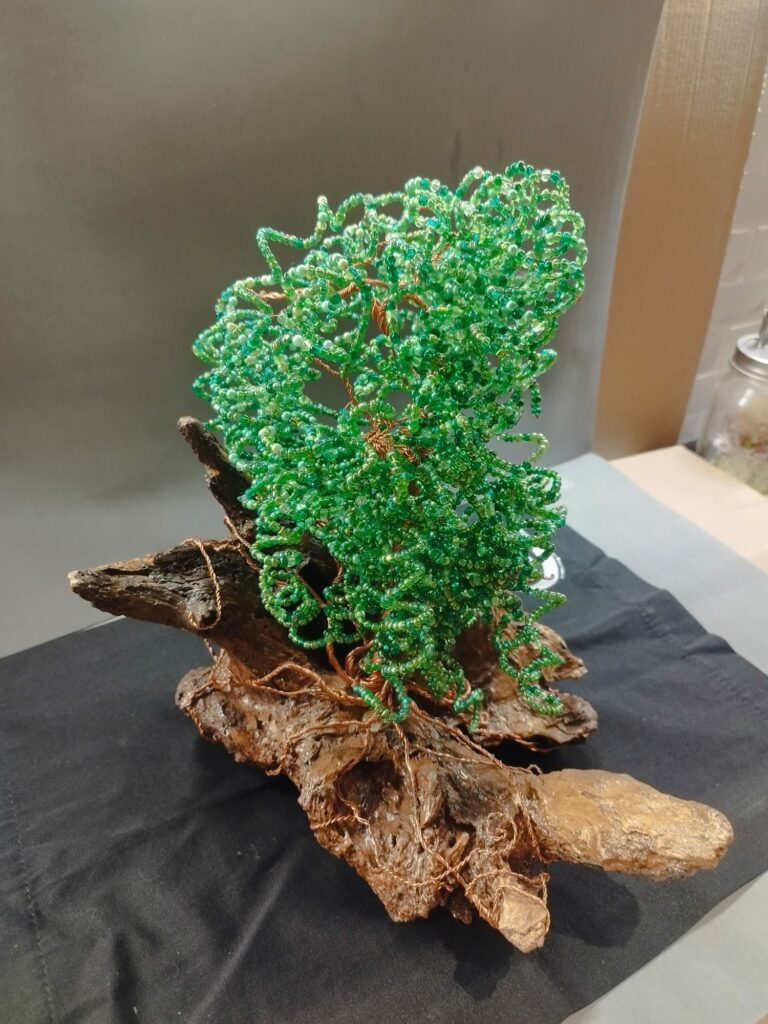 WhatsApp Image 2024-05-29 at 16.13.12