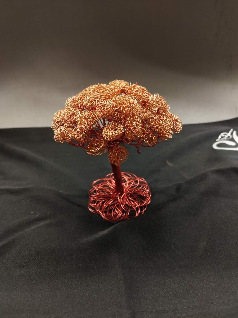 WhatsApp Image 2024-05-29 at 16.15.12