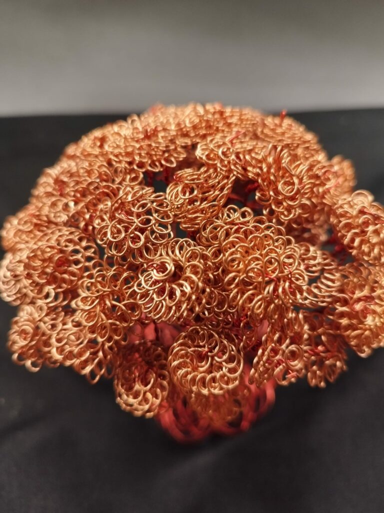 WhatsApp Image 2024-05-29 at 16.15.18 (1)