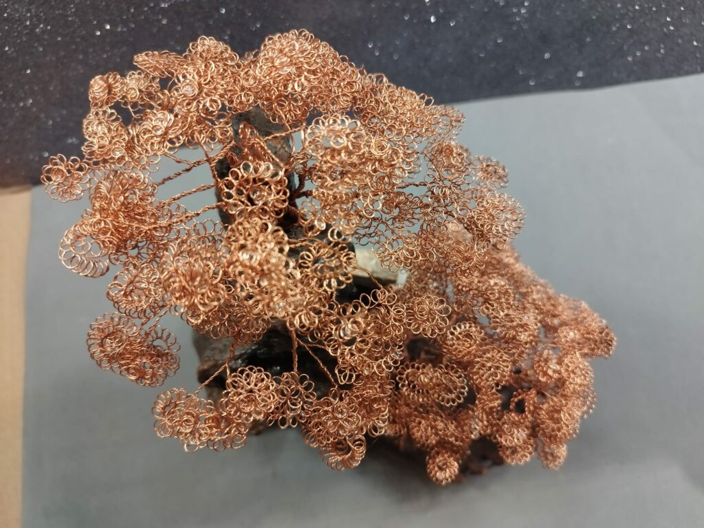 WhatsApp Image 2024-05-29 at 16.18.44