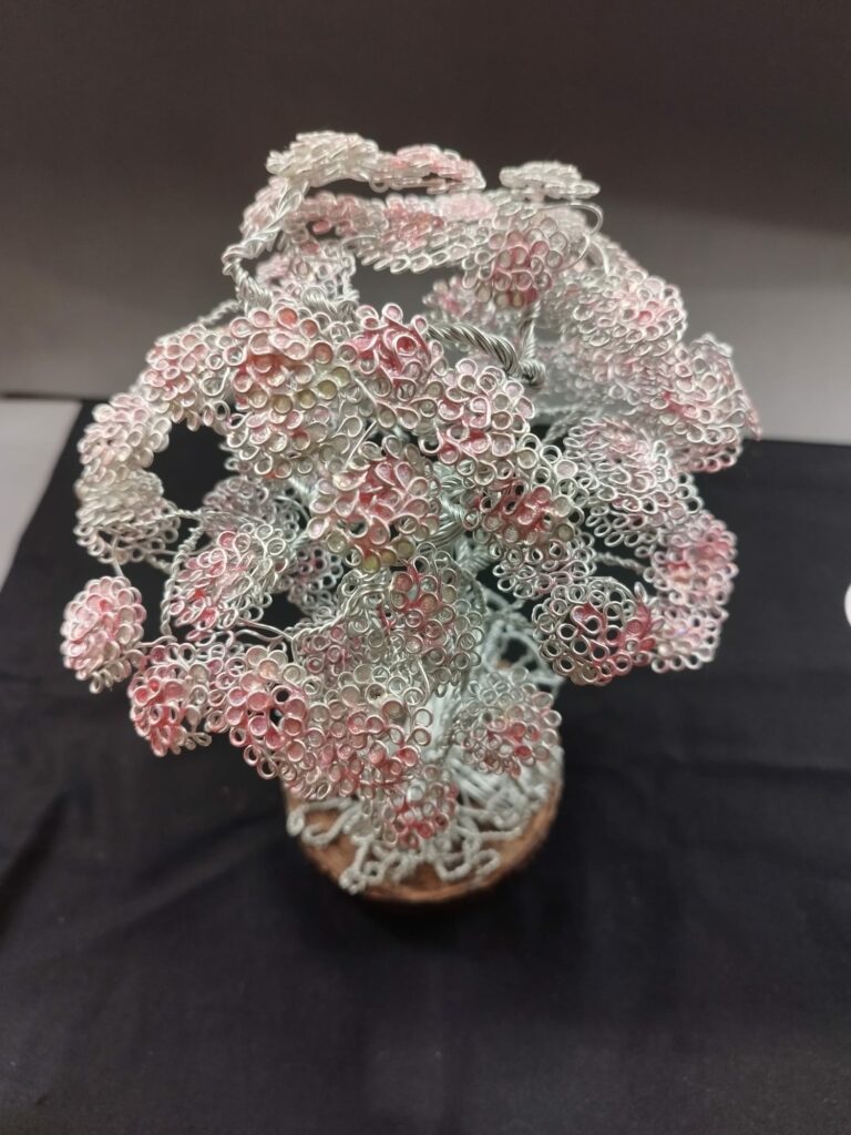 WhatsApp Image 2024-05-29 at 16.18.52