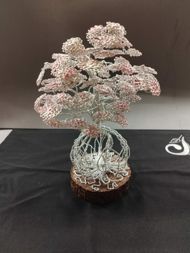 WhatsApp Image 2024-05-29 at 16.19.00