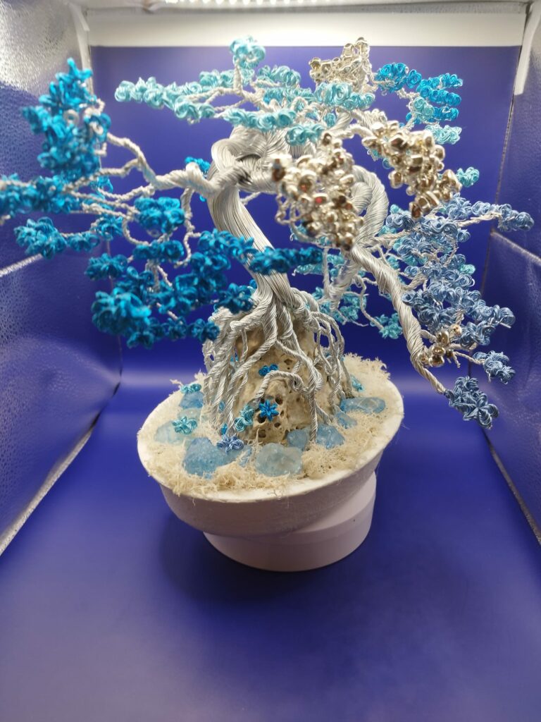 WhatsApp Image 2024-05-29 at 16.19.16