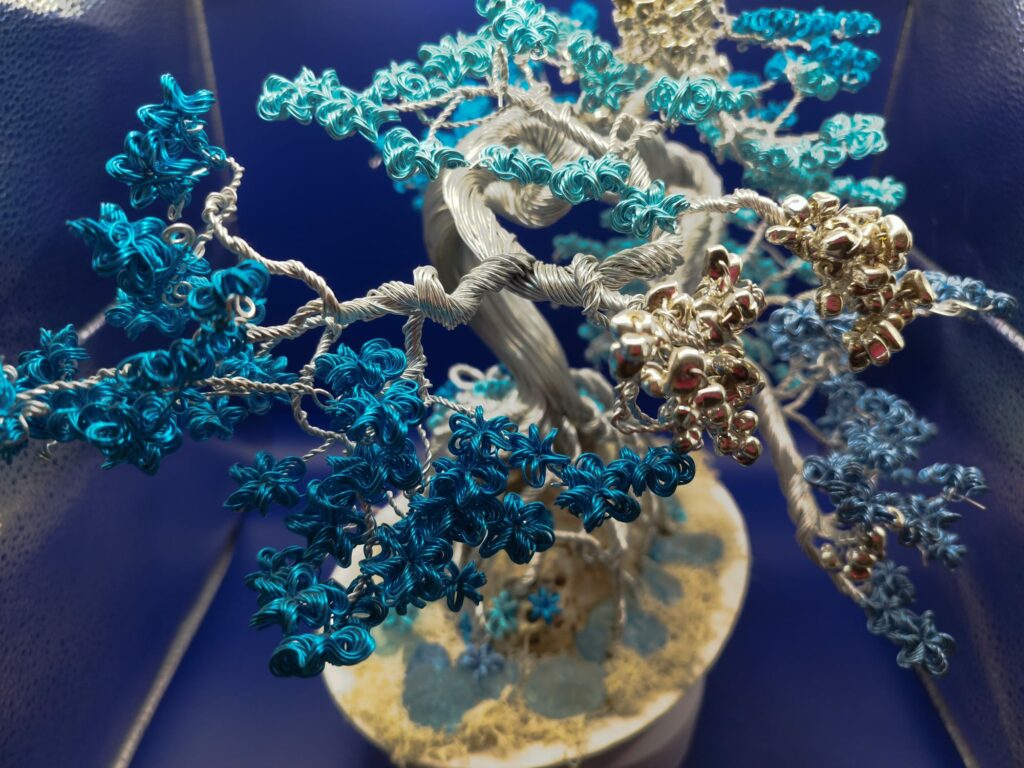 WhatsApp Image 2024-05-29 at 16.20.09