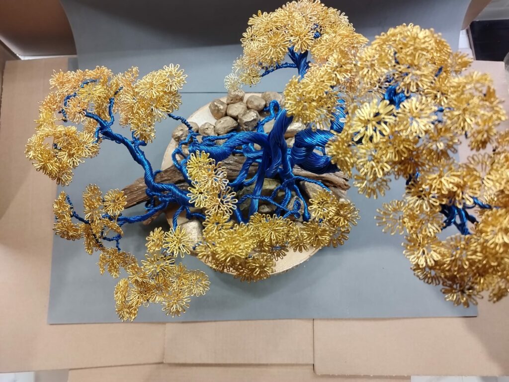 WhatsApp Image 2024-05-29 at 16.21.49