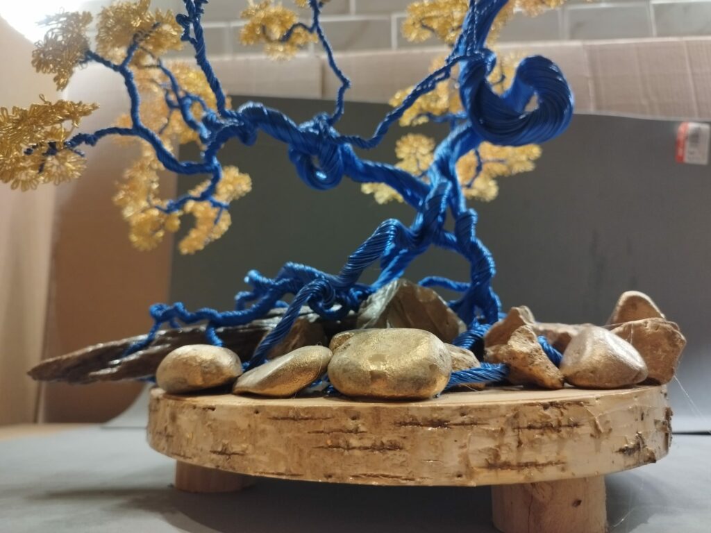 WhatsApp Image 2024-05-29 at 17.04.25