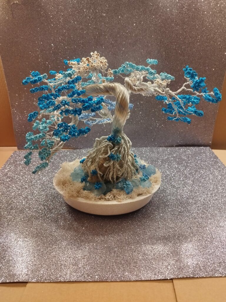 WhatsApp Image 2024-05-29 at 17.05.31