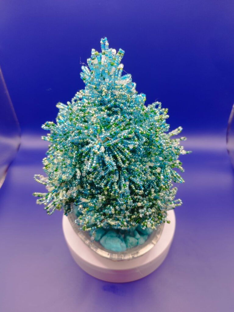 WhatsApp Image 2024-05-29 at 17.12.24