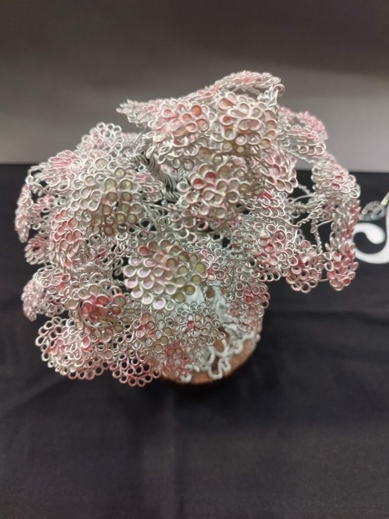 WhatsApp Image 2024-05-29 at 17.13.03 (1)