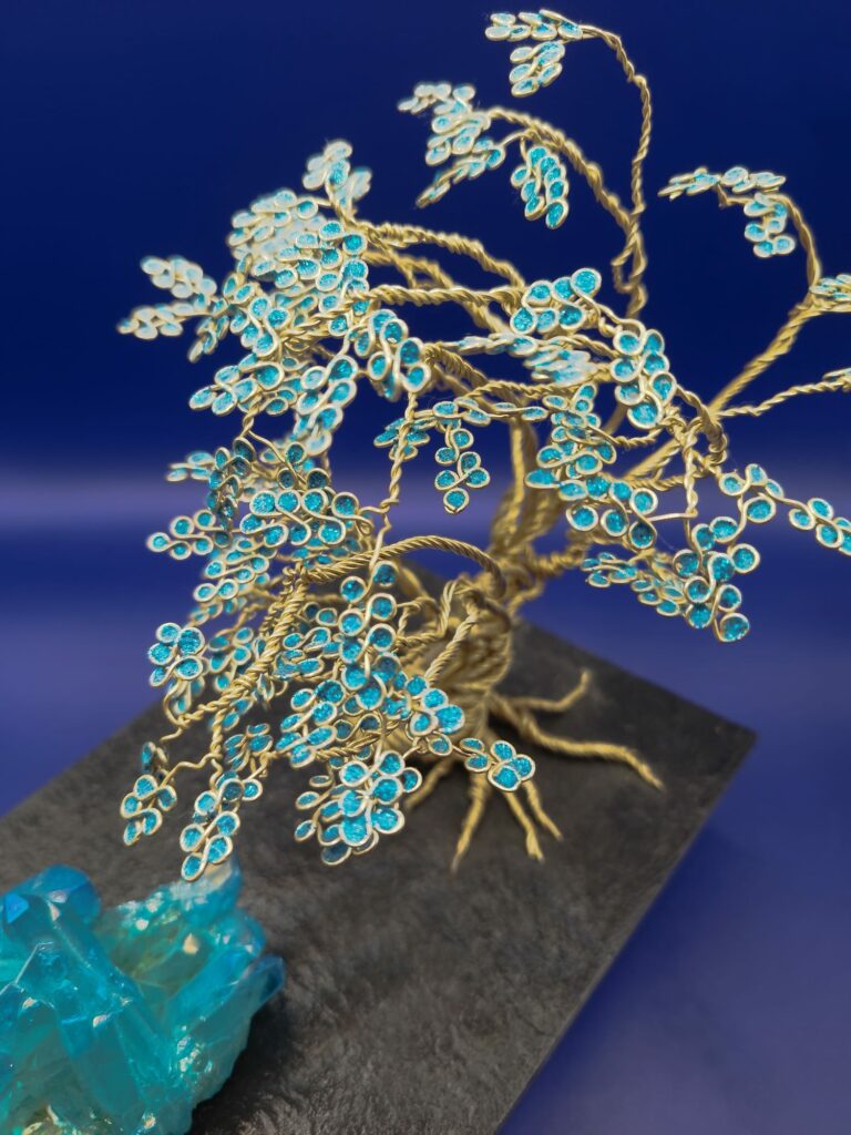 WhatsApp Image 2024-05-29 at 17.13.05 (1)