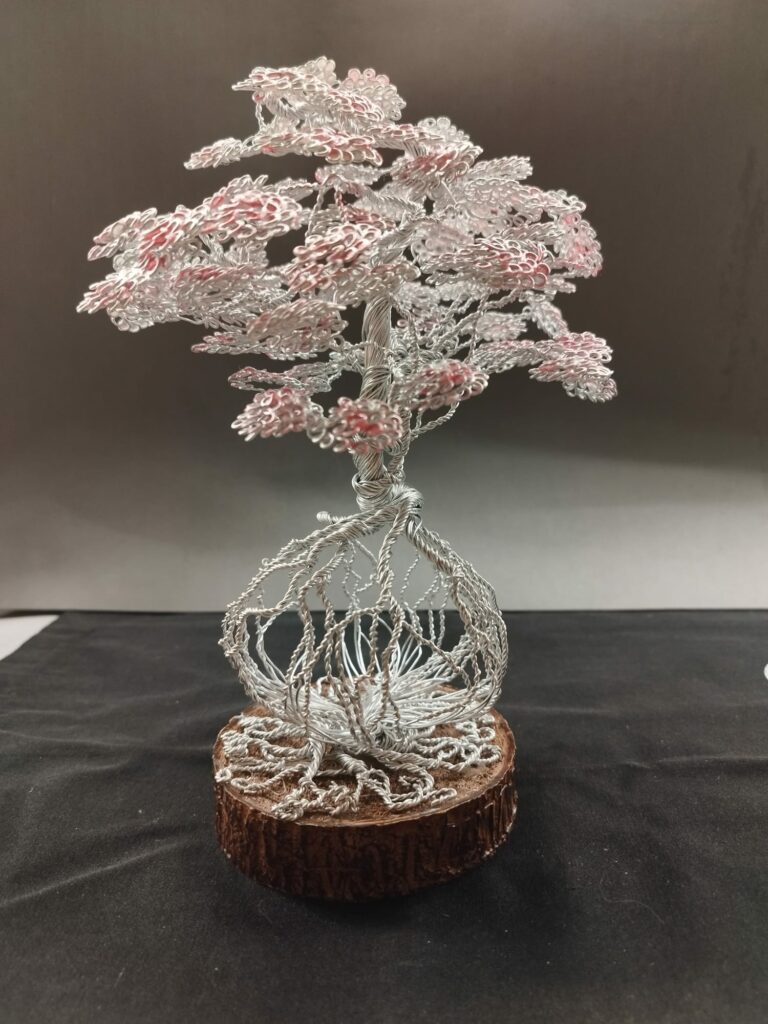 WhatsApp Image 2024-05-29 at 17.13.05