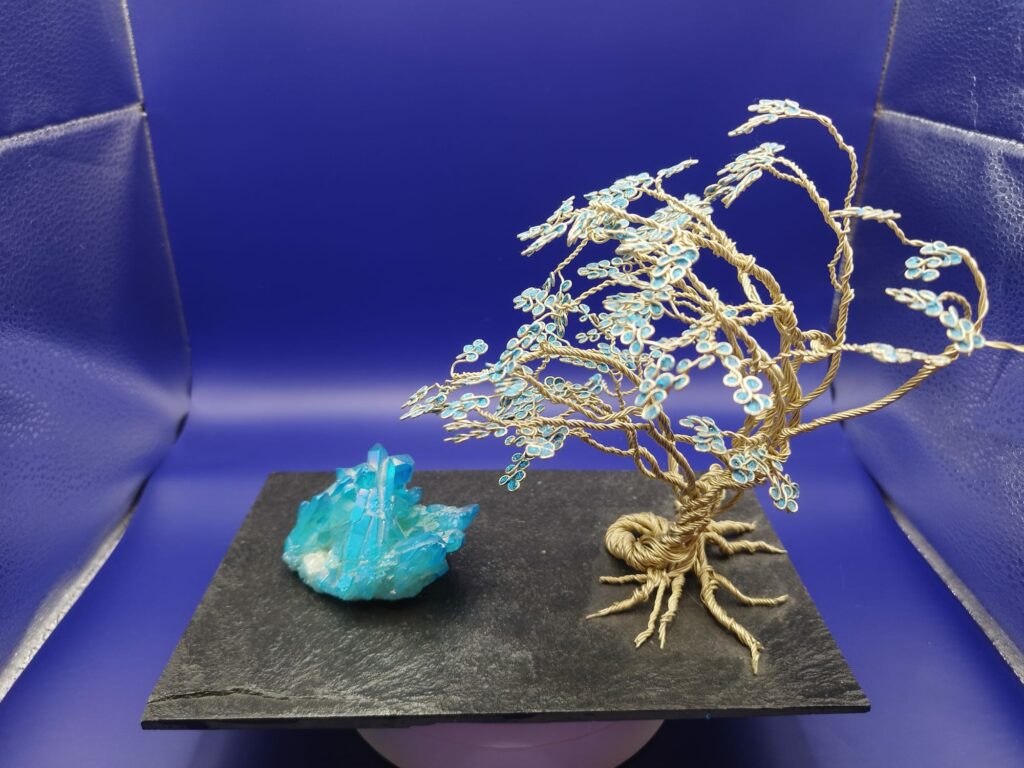 WhatsApp Image 2024-05-29 at 17.13.08 (1)