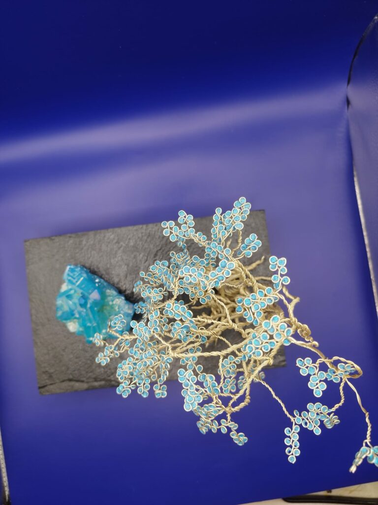 WhatsApp Image 2024-05-29 at 17.13.08