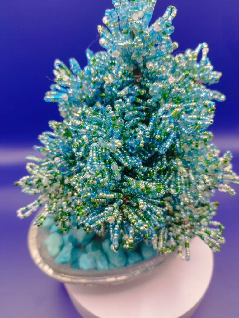 WhatsApp Image 2024-05-29 at 17.13.09 (1)