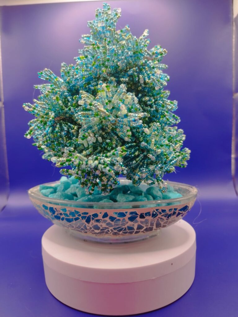 WhatsApp Image 2024-05-29 at 17.13.09