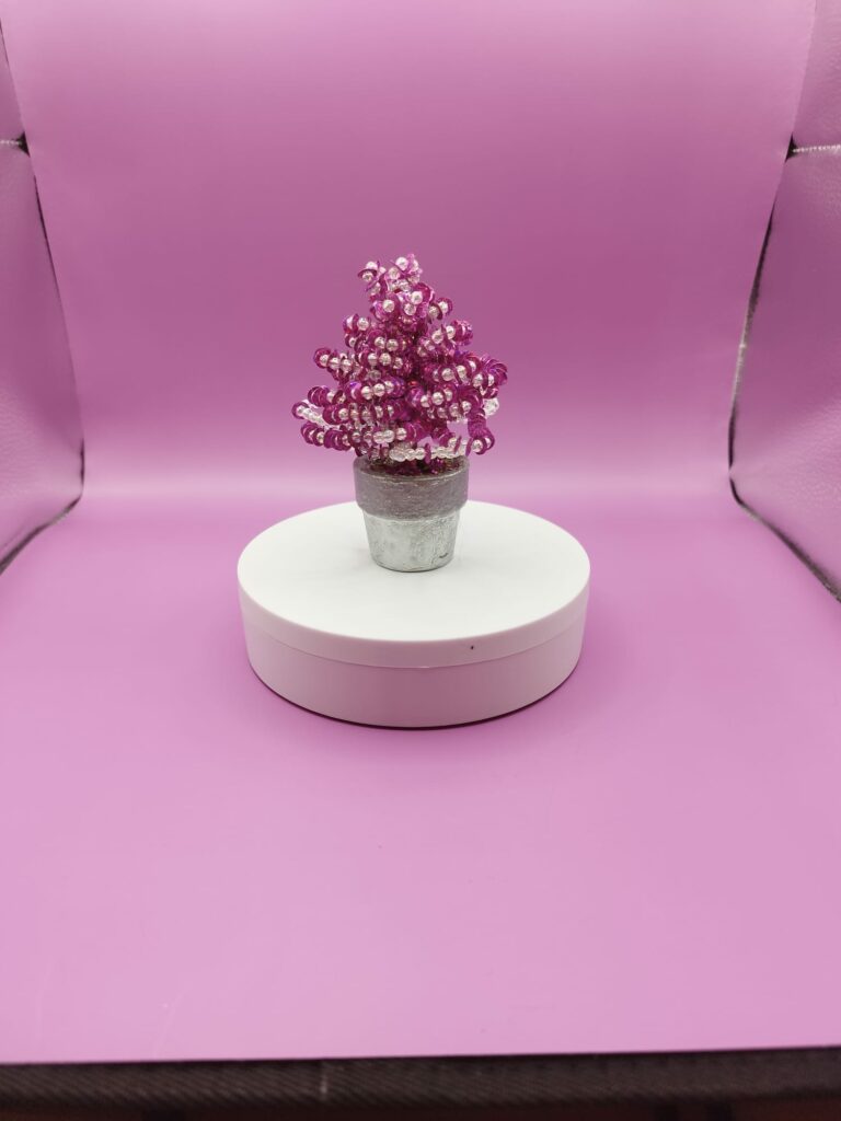 WhatsApp Image 2024-05-29 at 17.13.10 (1)