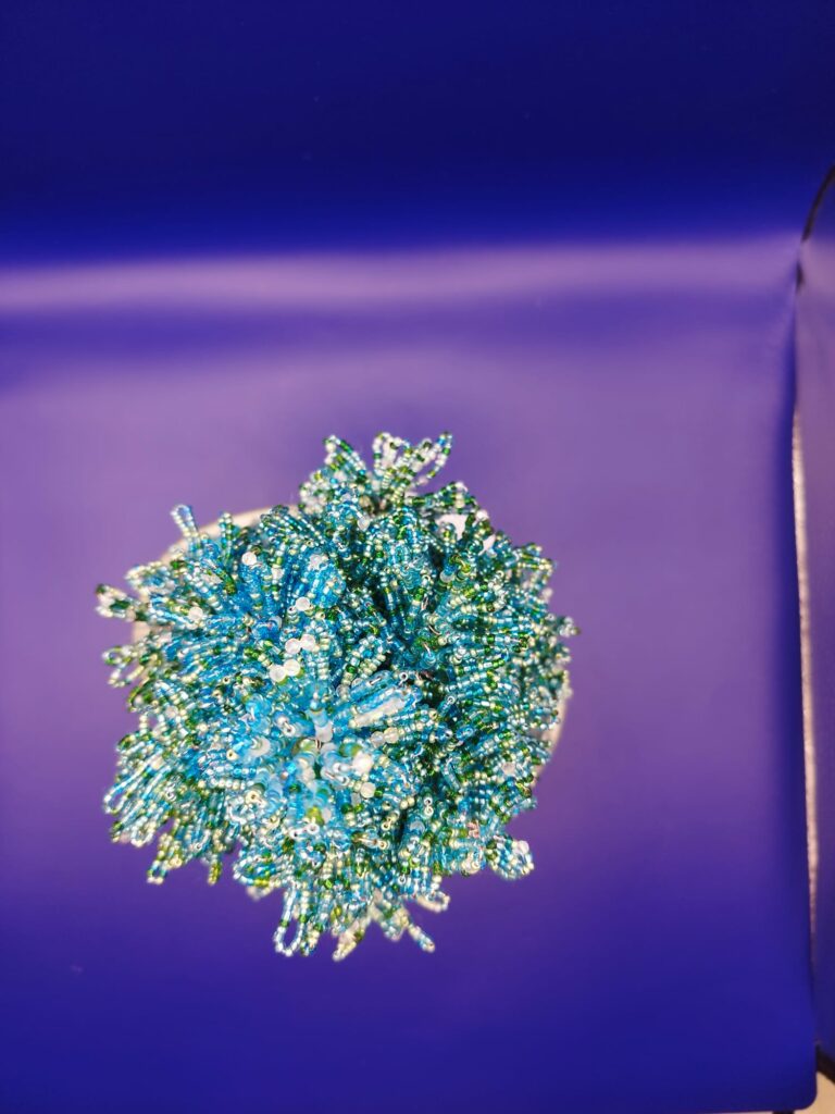 WhatsApp Image 2024-05-29 at 17.13.10