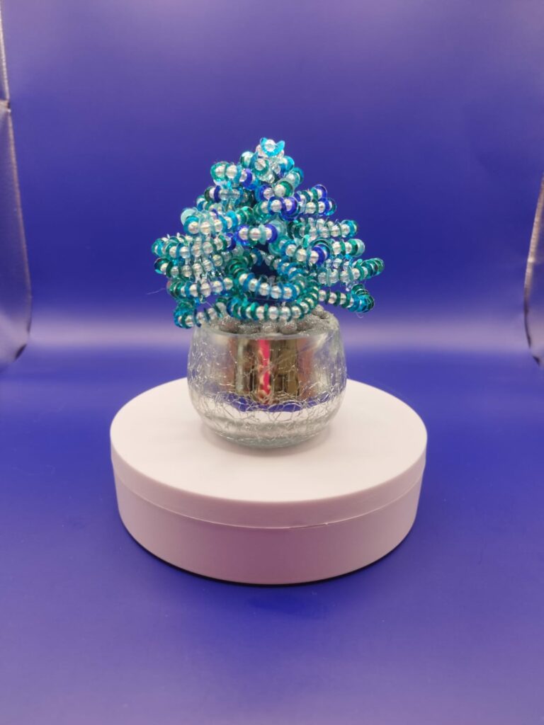 WhatsApp Image 2024-05-29 at 17.13.11