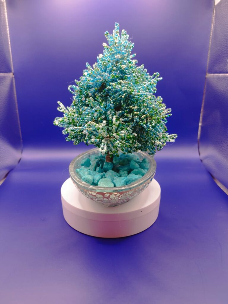 WhatsApp Image 2024-05-29 at 17.13.12 (1)