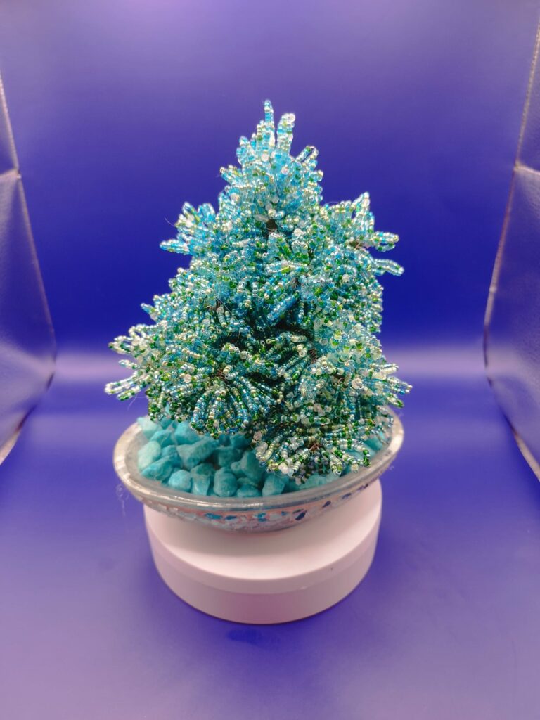 WhatsApp Image 2024-05-29 at 17.13.12 (3)