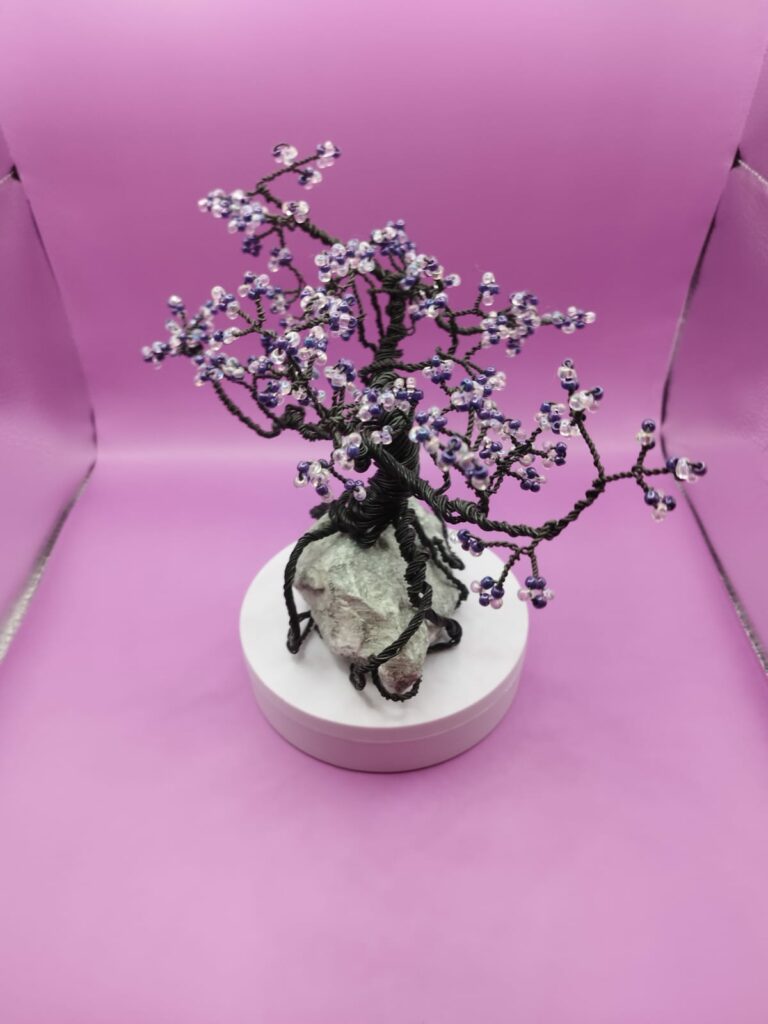 WhatsApp Image 2024-05-29 at 17.13.12