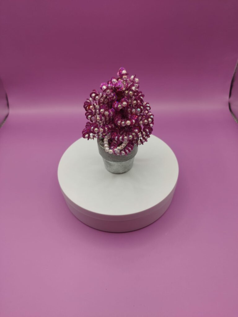 WhatsApp Image 2024-05-29 at 17.13.13 (1)