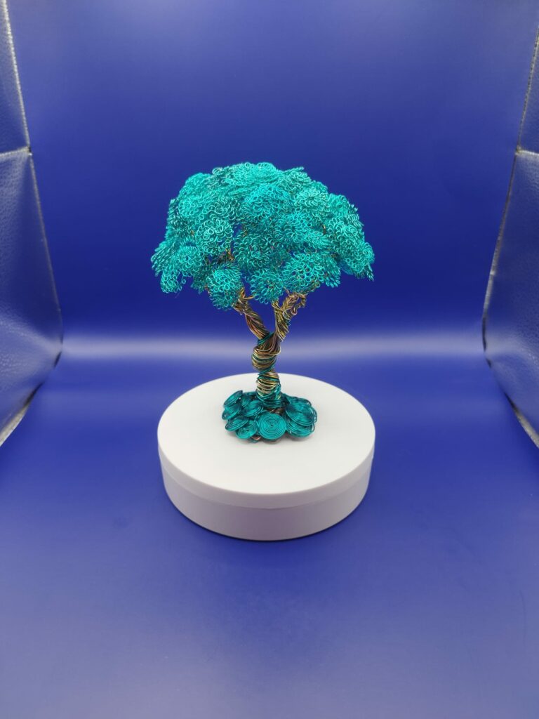 WhatsApp Image 2024-05-29 at 17.13.13