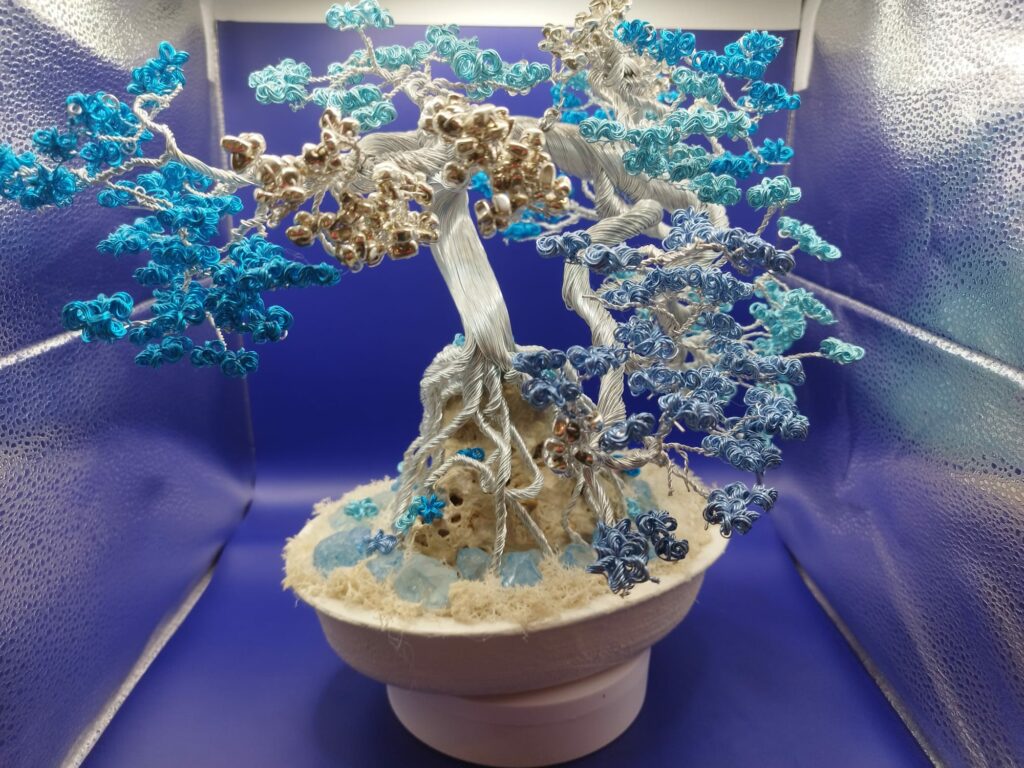 WhatsApp Image 2024-05-29 at 17.13.14 (2)