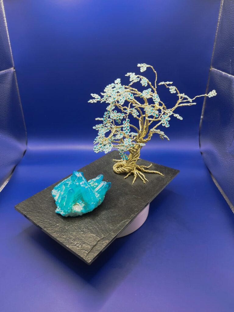 WhatsApp Image 2024-05-29 at 17.13.16