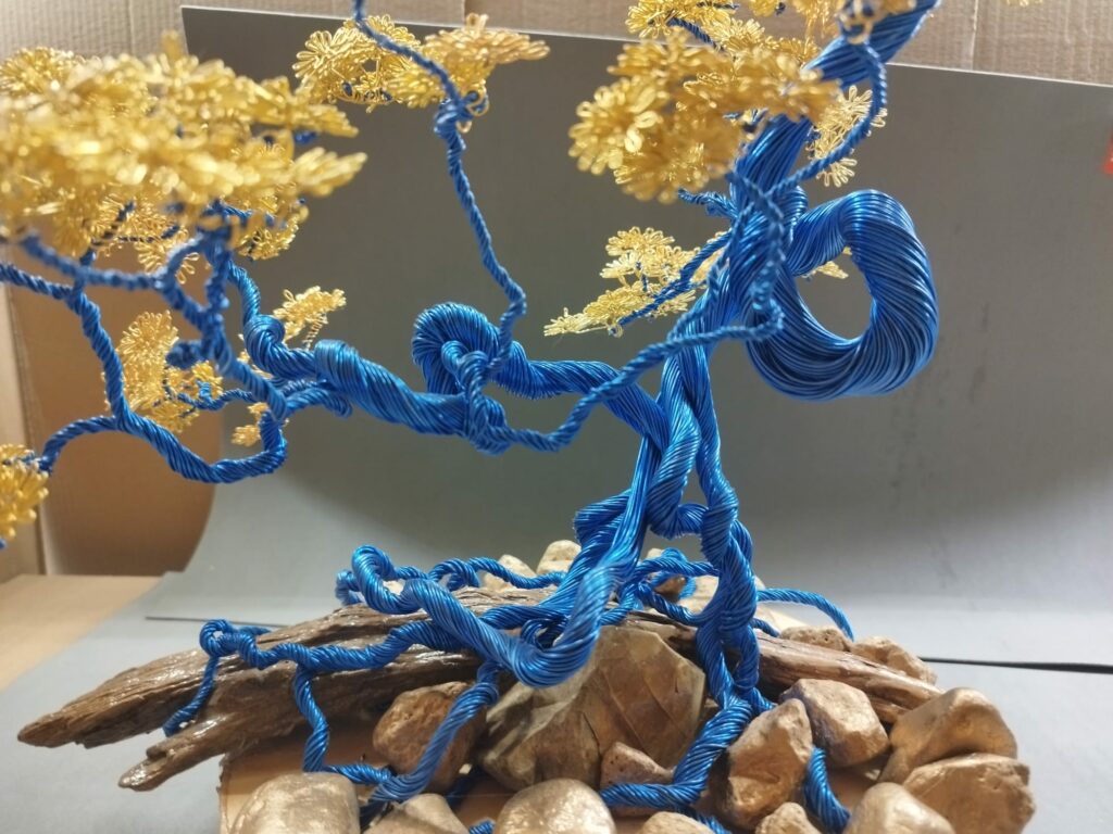 WhatsApp Image 2024-05-29 at 17.13.19 (1)